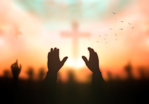 A person 's hands reaching up toward the sky with their arms raised.